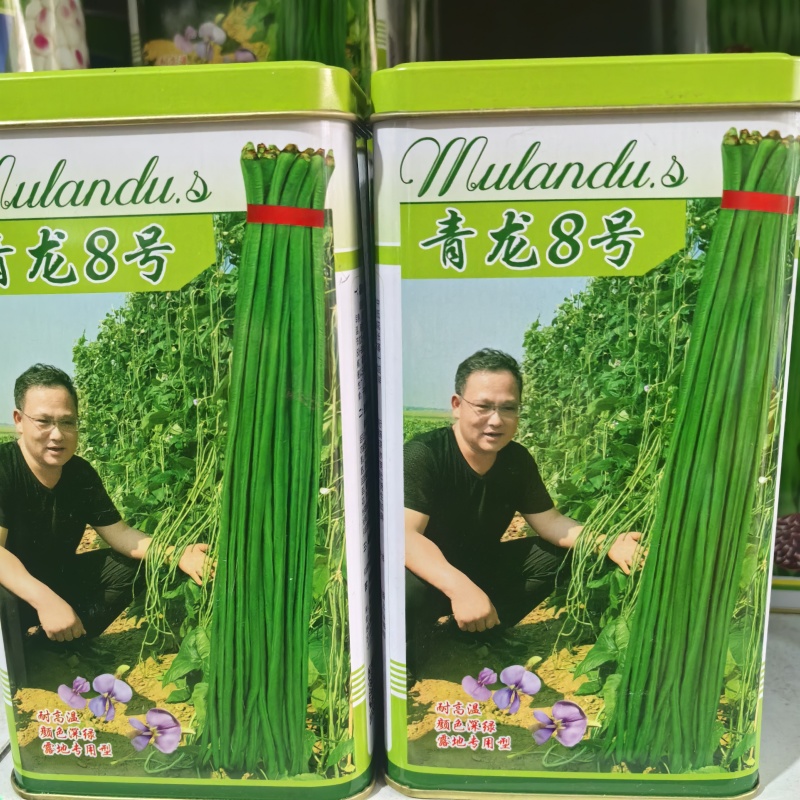 青龙8号长豇豆种籽四季豆角种肉厚高产抗病耐老化长豇豆种籽