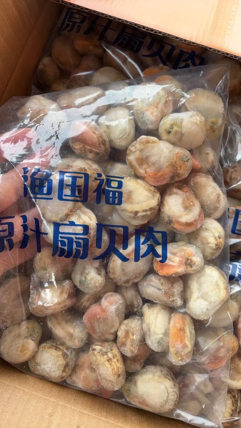 大个的扇贝肉一箱十斤
