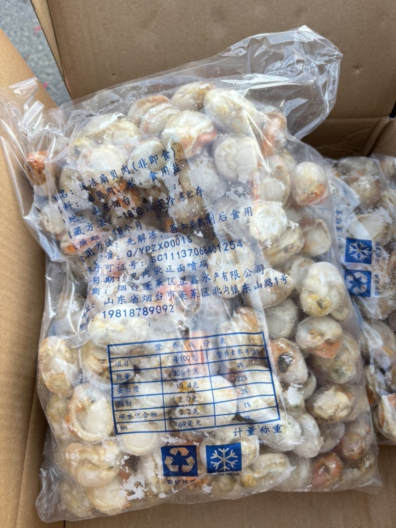 大个的扇贝肉一箱十斤