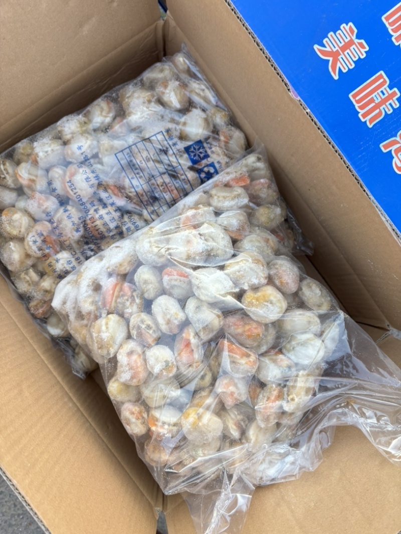大个的扇贝肉一箱十斤