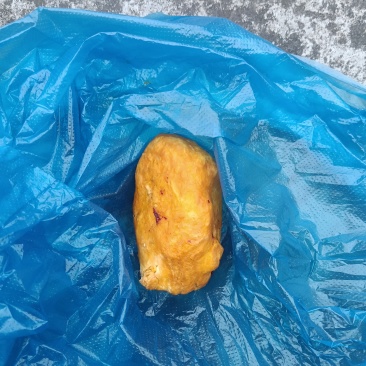 鸡宝有人收吗？多少钱一克