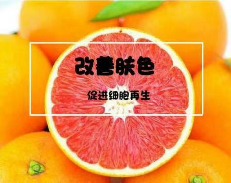 应季鲜橙，中华红血橙主产地大量直采供货。