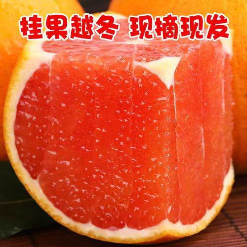 应季鲜橙，中华红血橙主产地大量直采供货。