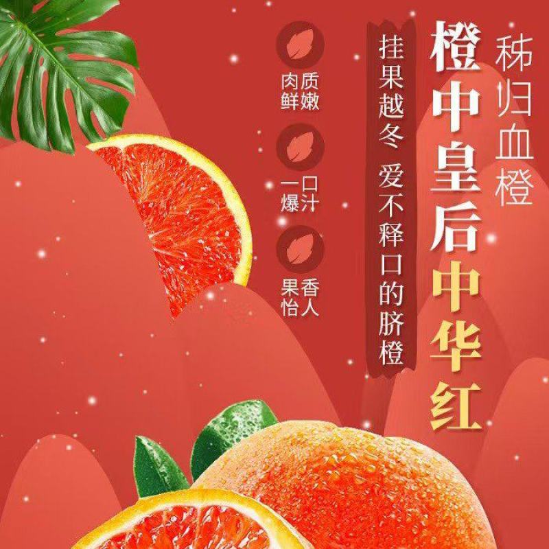 中华红血橙，主产地直供一手货源