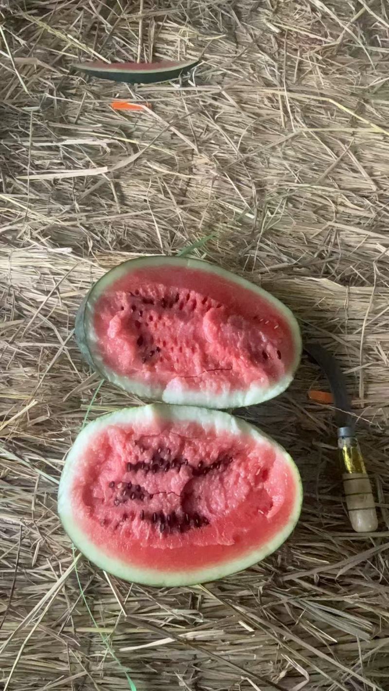 黑美人二级西瓜大量批发