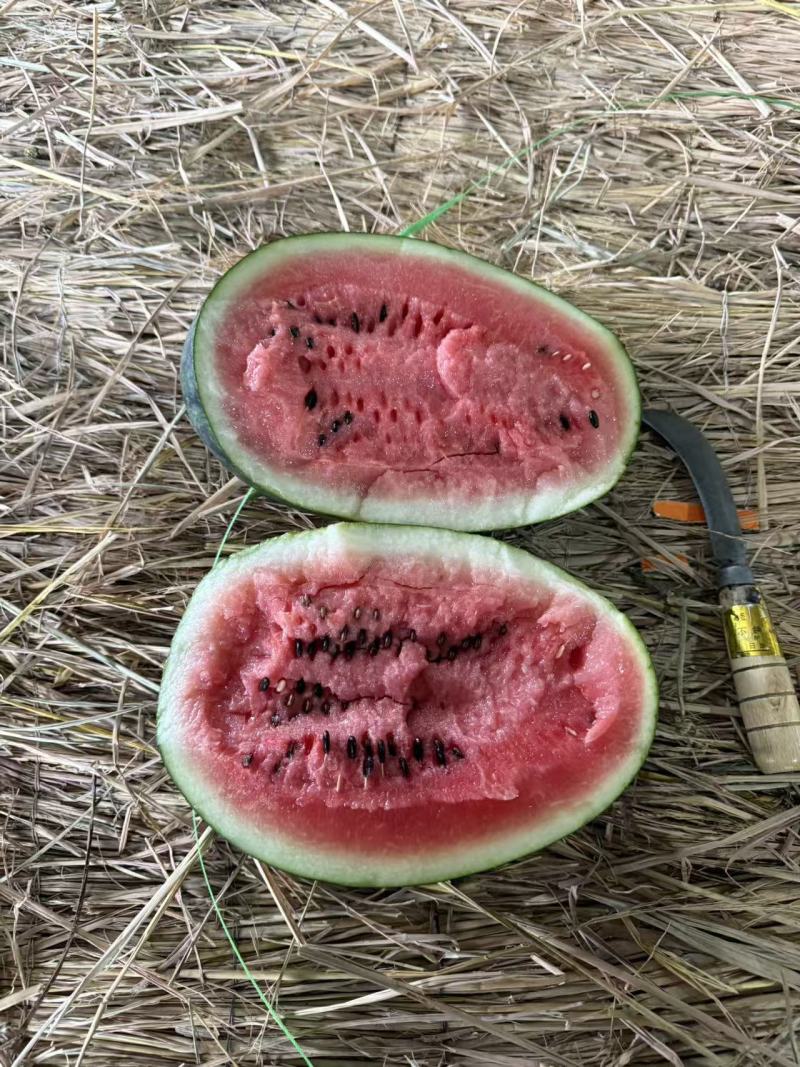 黑美人二级西瓜大量批发