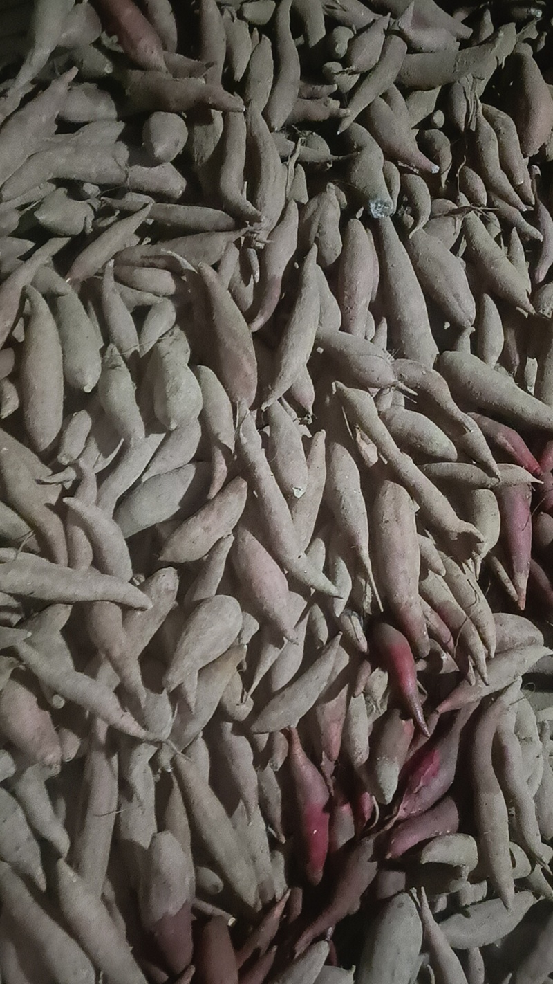西瓜红