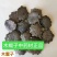 木鳖子水洗无硫饱满中药材批发零售货真价实