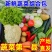 新鲜蔬菜组合套装礼合套装一件代发