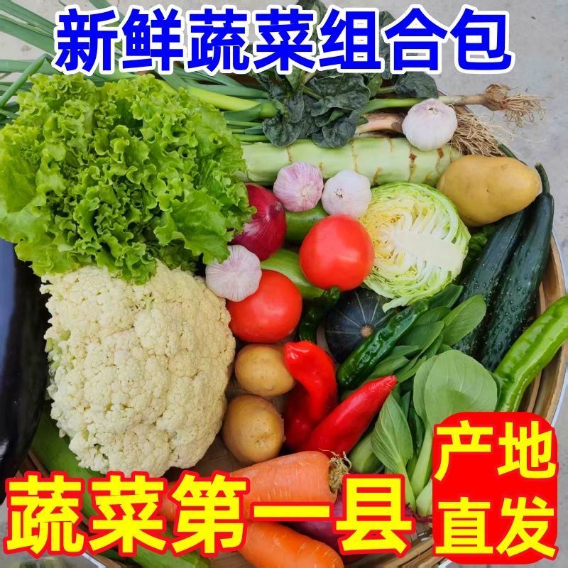 新鲜蔬菜组合套装礼合套装一件代发