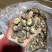 包邮小厚冬菇2.5-3厘米干香菇2026新菇