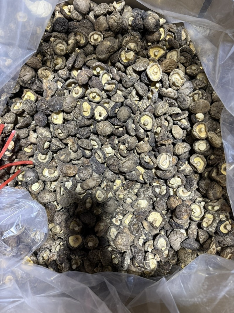 包邮小厚冬菇2.5-3厘米干香菇2026新菇