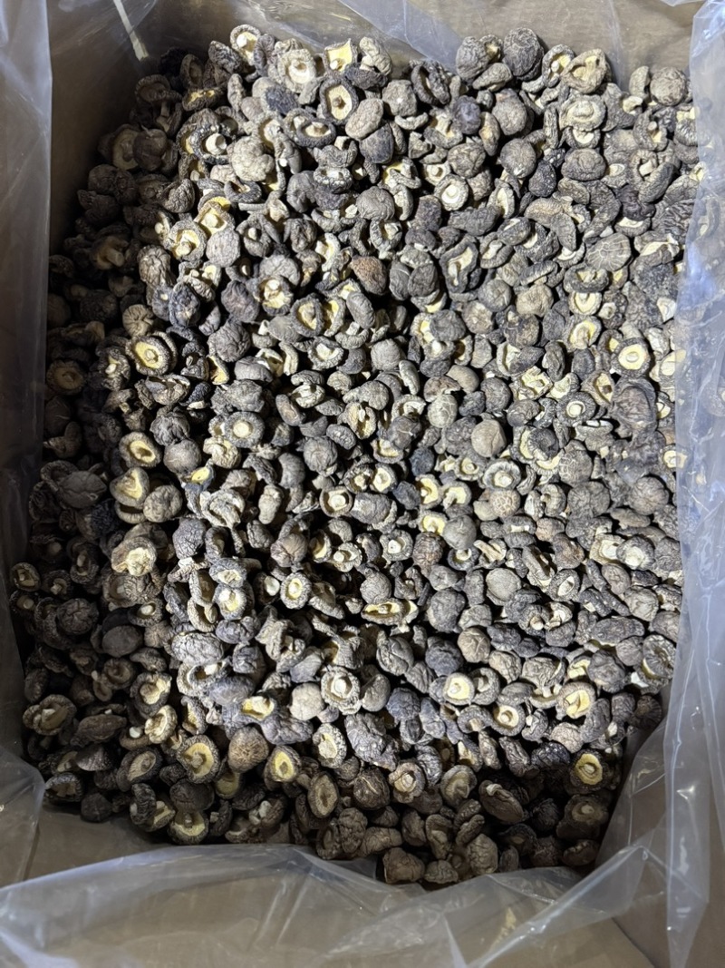 包邮小厚冬菇2.5-3厘米干香菇2026新菇