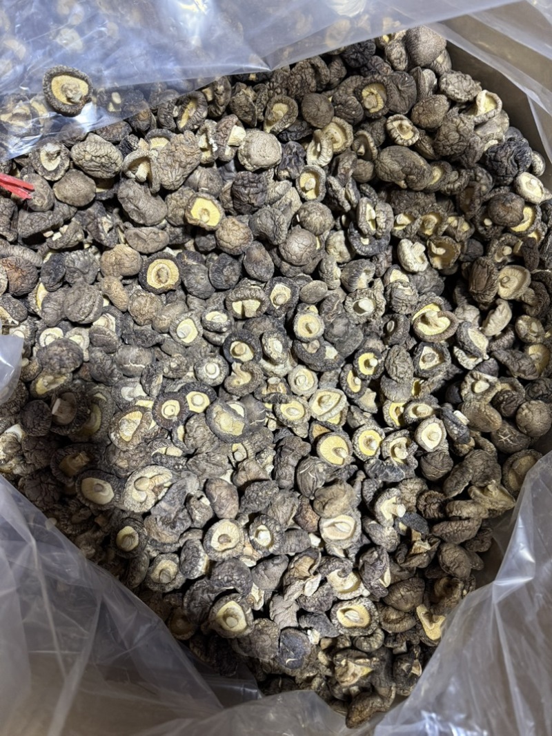 包邮小厚冬菇2.5-3厘米干香菇2026新菇