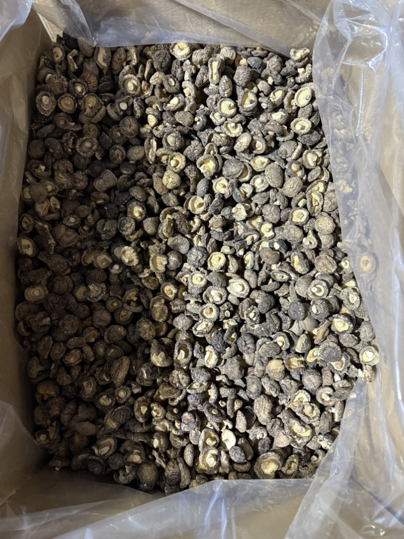包邮小厚冬菇2.5-3厘米干香菇2026新菇