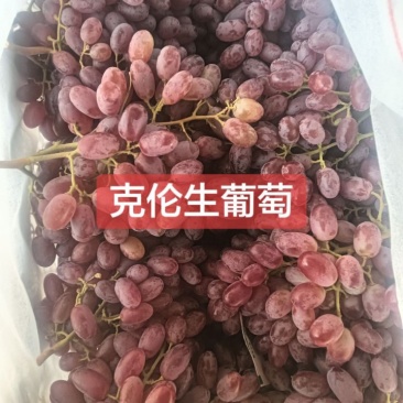 克伦生葡萄