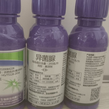 菌核病灰霉病冠腐病