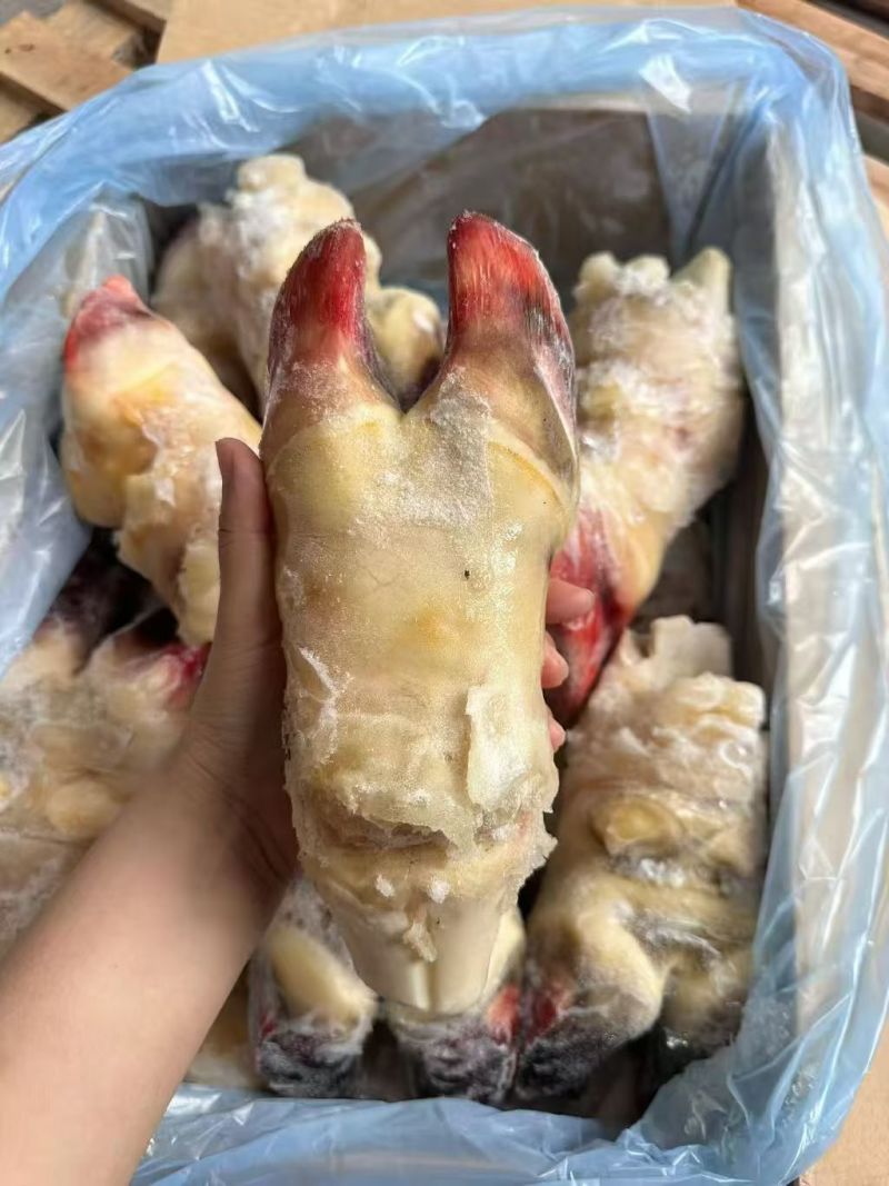 带骨后牛蹄全国发货