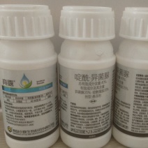 灰霉病瓜果蔬菜菌核病