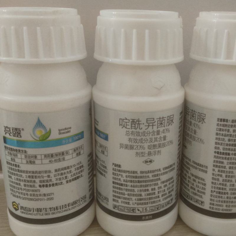 灰霉病瓜果蔬菜菌核病