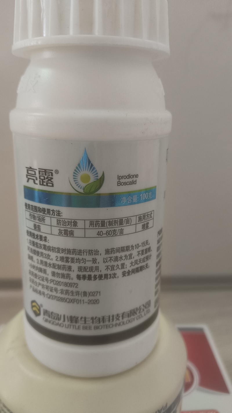 灰霉病瓜果蔬菜菌核病