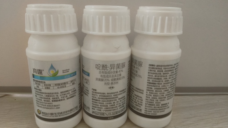 灰霉病瓜果蔬菜菌核病