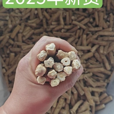 甘肃白条党参手工寸节产地直发量大优惠