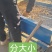 甘肃白条党参手工寸节产地直发量大优惠