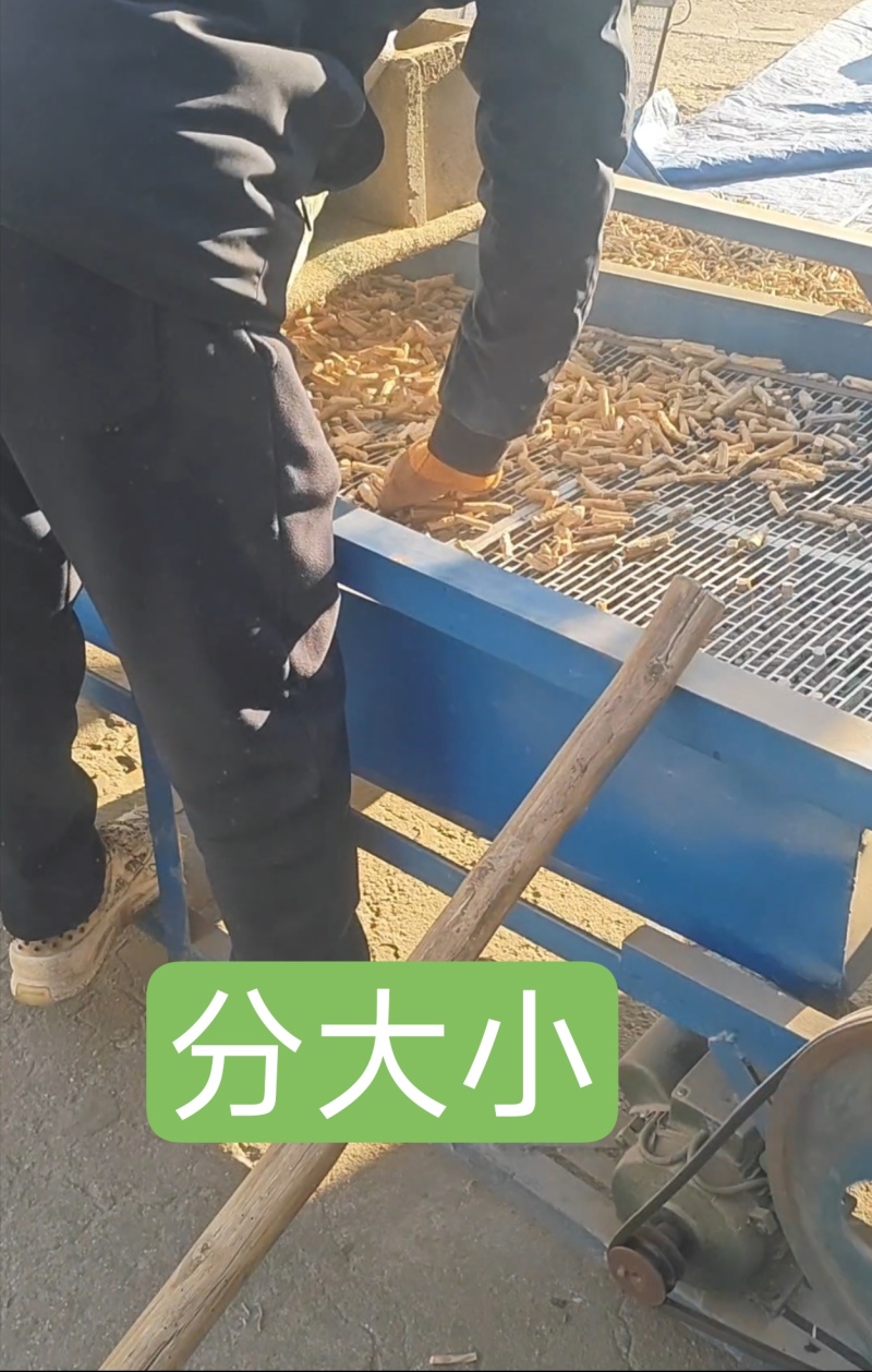 甘肃白条党参手工寸节产地直发量大优惠