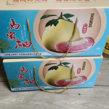 广丰大南马家柚