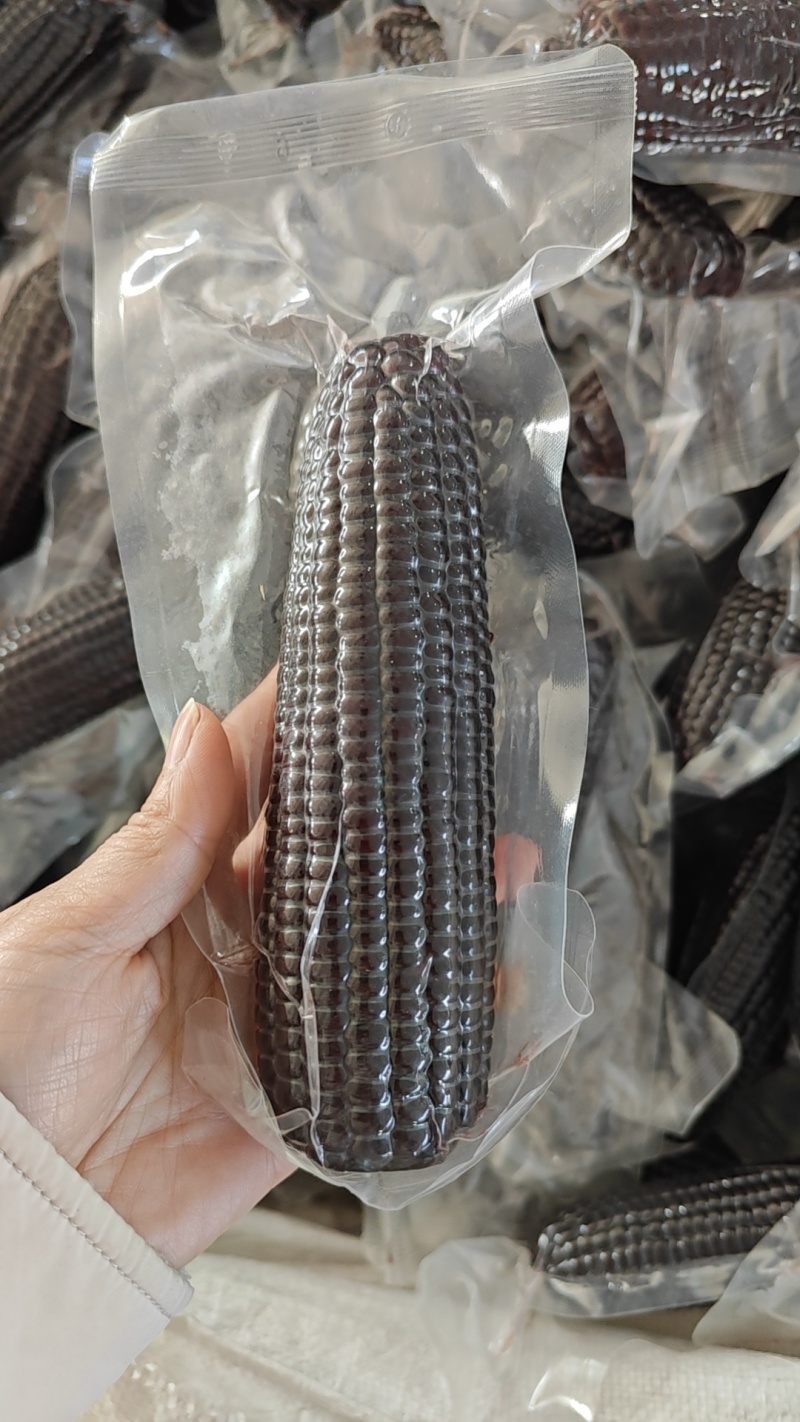 东北黑糯玉米