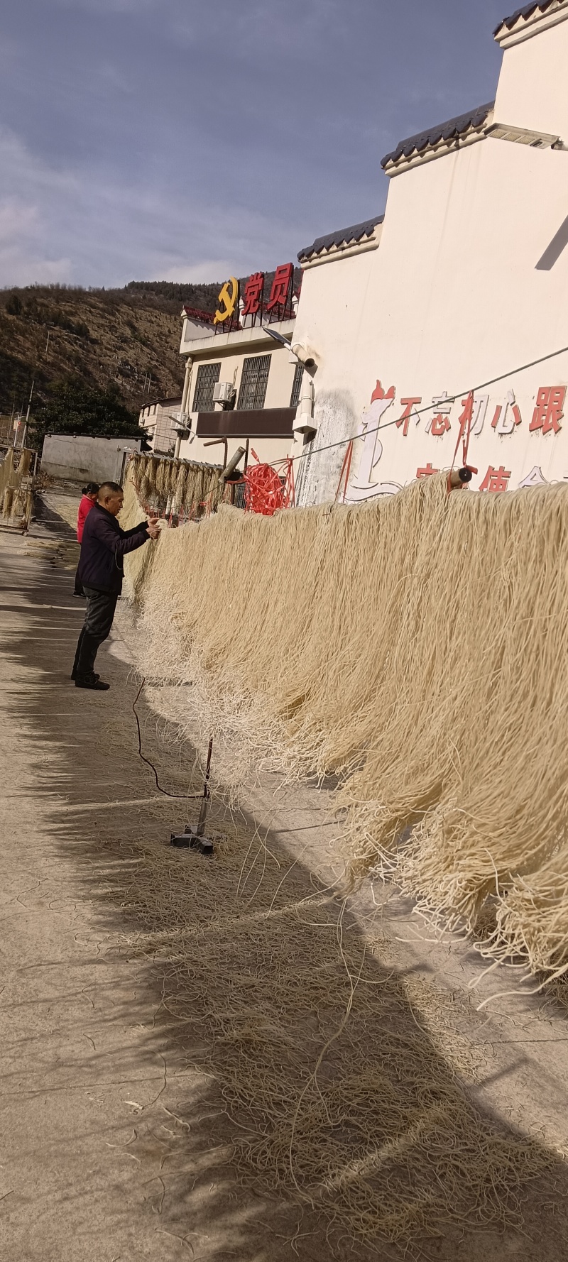 纯红薯粉条