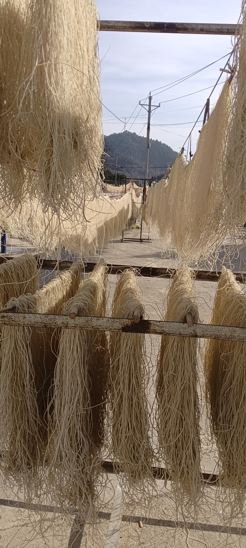 纯红薯粉条