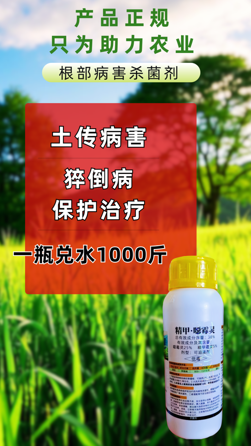 30%精甲恶霉灵猝倒病根腐病软腐病根部病害杀菌剂