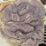 【熟牛肉】五香熟牛花腱，带筋多，块头大，真空独立包装