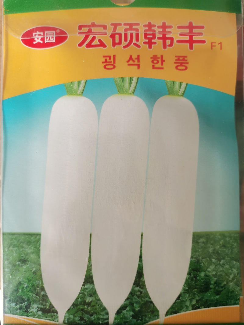 韩丰春玉韩系白玉杂交一代萝卜种子根皮白肉质清脆品质
