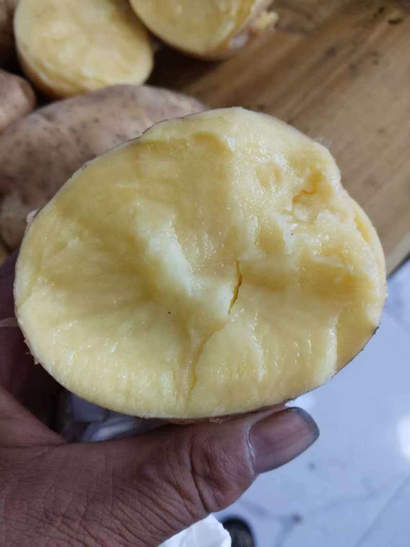 内蒙黄心土豆