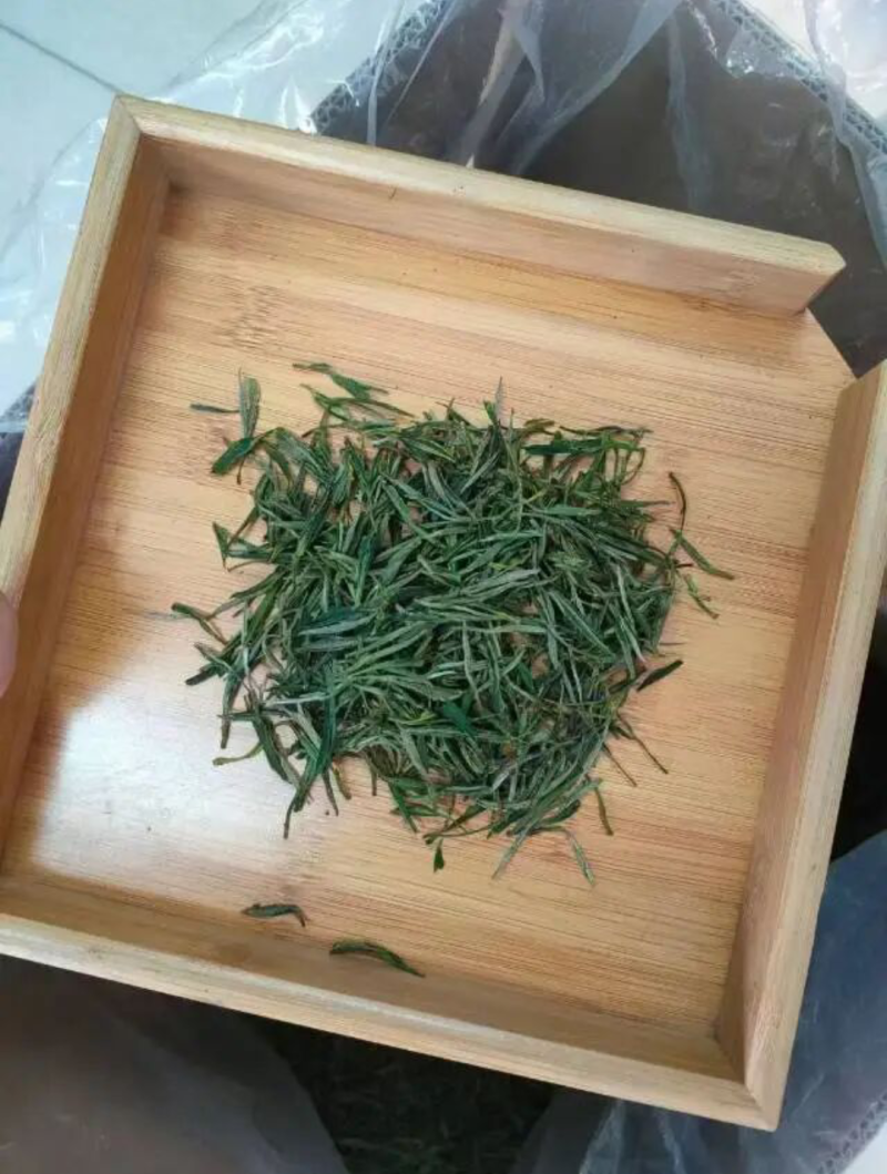 经典出口毛尖【炭火烘焙】中国+东南亚！不间断循环茶品！