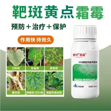 霜霉疫病靶斑病专用妙打武霜®11%噬菌肽铜