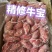 精品牛宝