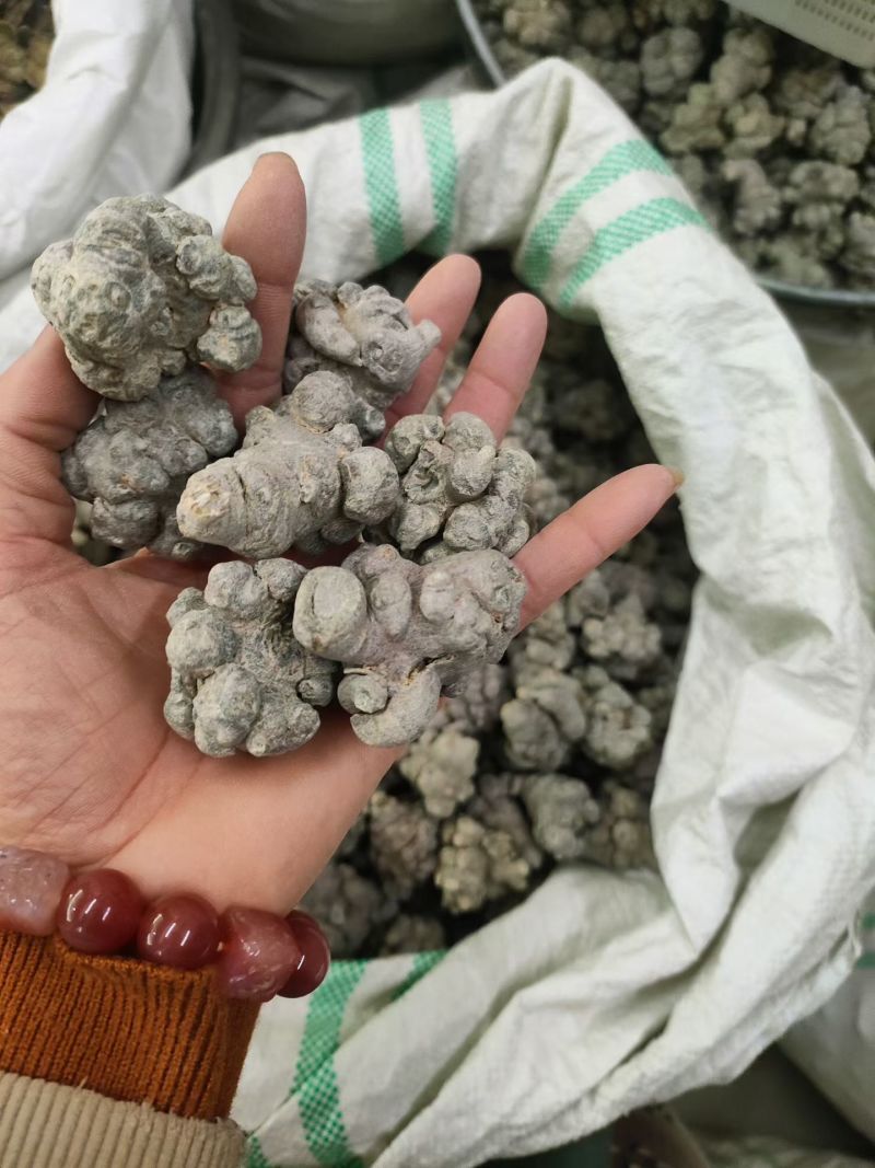 脱农残重金属的洁净三七越来越多人接受并爱上，吃着安心放心