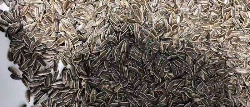 原味瓜子，一件代发，内霉少，全国发货，货源充足。