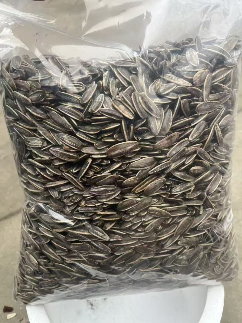 原味瓜子，一件代发，内霉少，全国发货，货源充足。