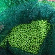 长寿仁甜豆豌豆米整车有货价格美丽对接全国热卖欢迎询价