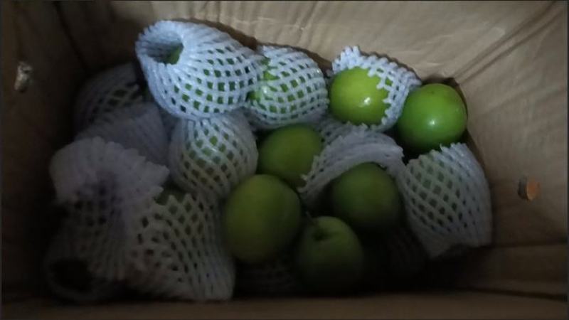 新鲜青枣，现摘牛奶枣大青枣水果包邮新鲜贵妃枣，包邮到家！