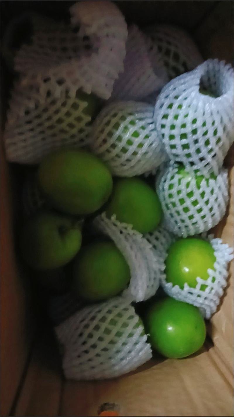 新鲜青枣，现摘牛奶枣大青枣水果包邮新鲜贵妃枣，包邮到家！