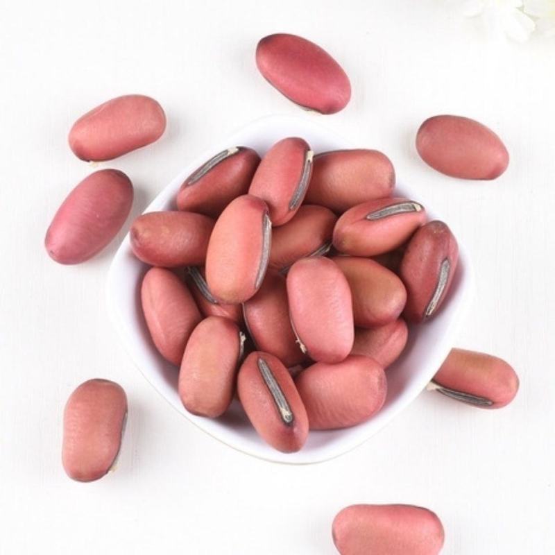 中药材红刀豆大刀豆子各种规格保质保量批发零售