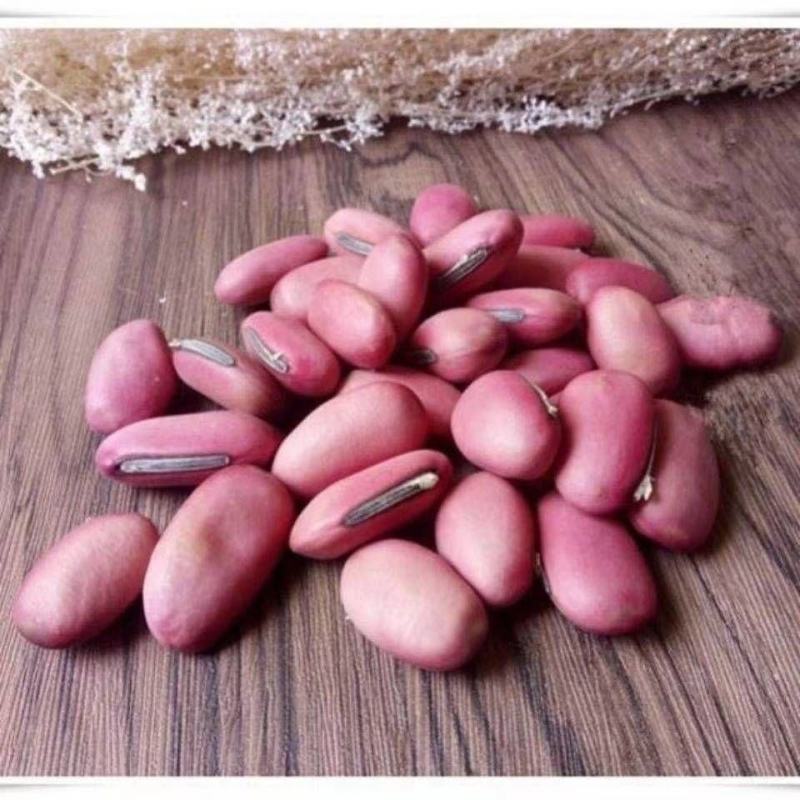中药材红刀豆大刀豆子各种规格保质保量批发零售