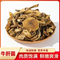 各种牛肝菌大货批发零售