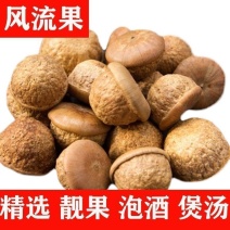 中药材风流果壮阳果泡酒煲汤滋补各种规格批发零售